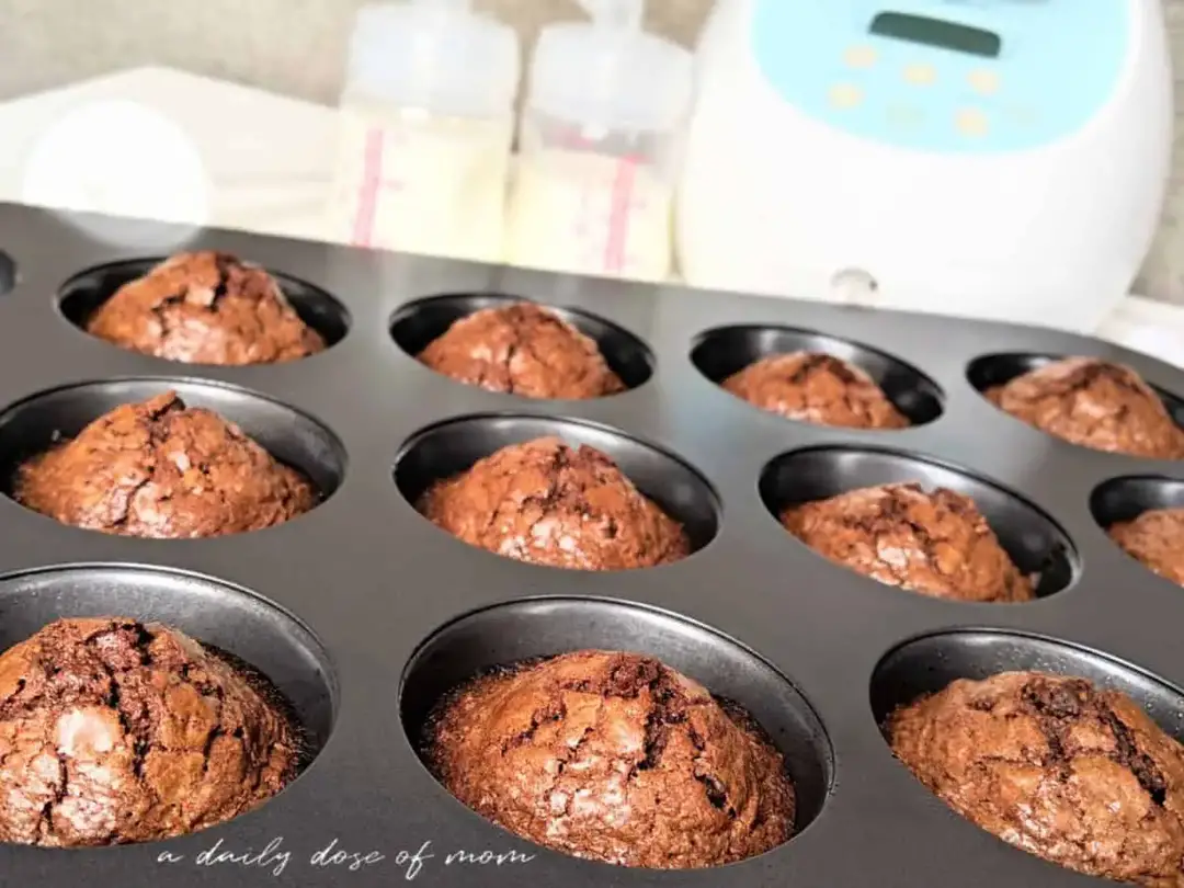 Lactation Brownie Boobie Bites