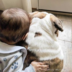 Tips on Getting Fur Baby Ready for Human Baby Featured
