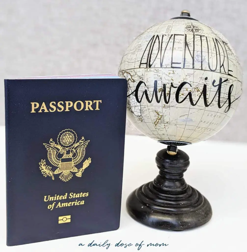 Baby's First Passport 3