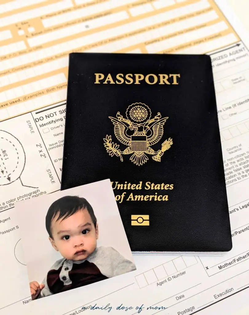 Baby's First Passport 5