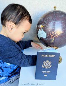 Baby's First Passport 6