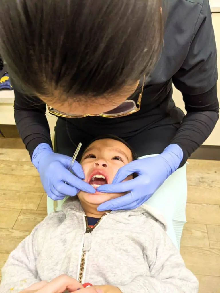 Child's First Dentist Visit Pediatric Dentist Exam