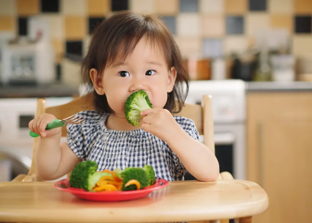 toddler girl eating broccoli with hummus