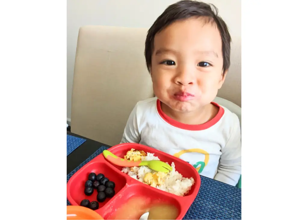 toddler boy enjoying a meal with a baby led weaning plate