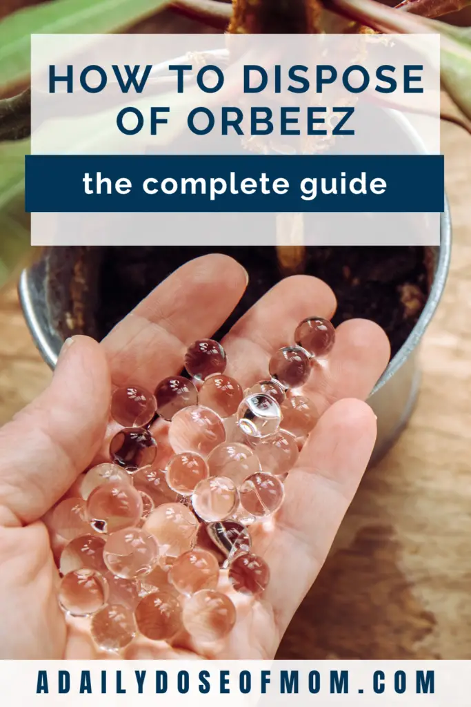 How to dispose of Orbeez Pin 4