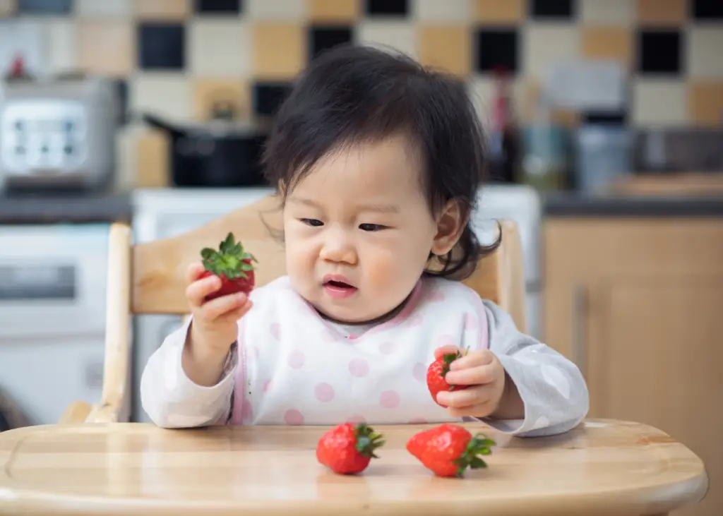 baby in high chair eating strawberry for baby-led weaning
