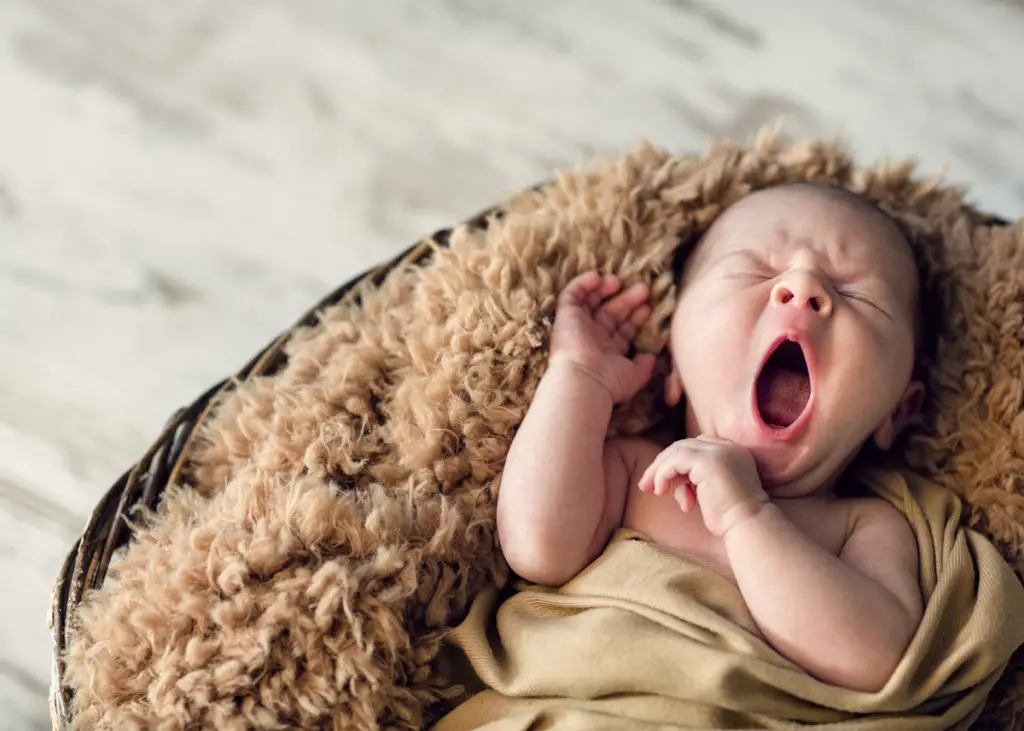 newborn baby yawning during newborn photoshoot
